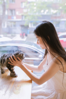女儿的朋友中字头6简介